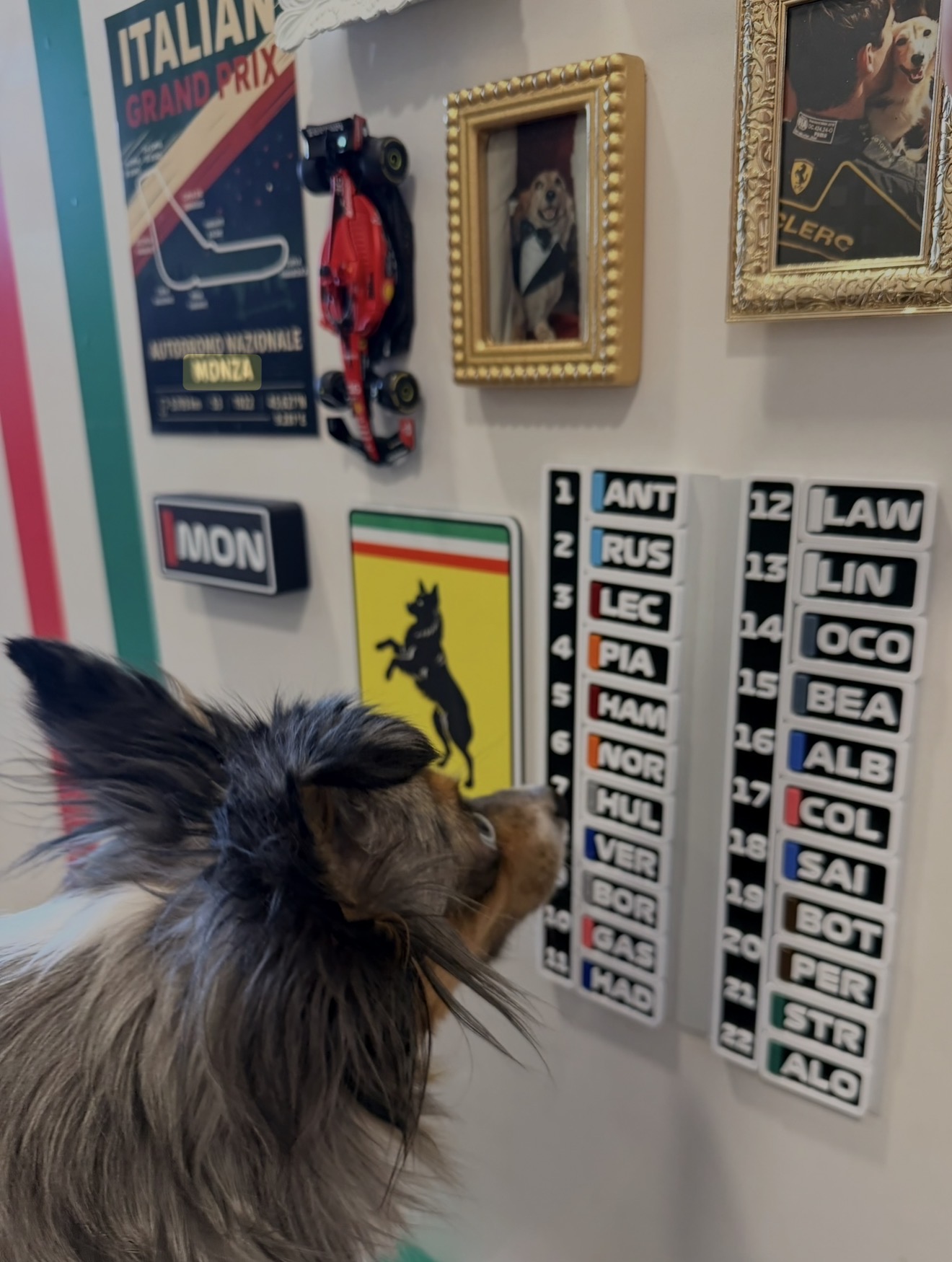 Monza inspecting the driver lineup grid