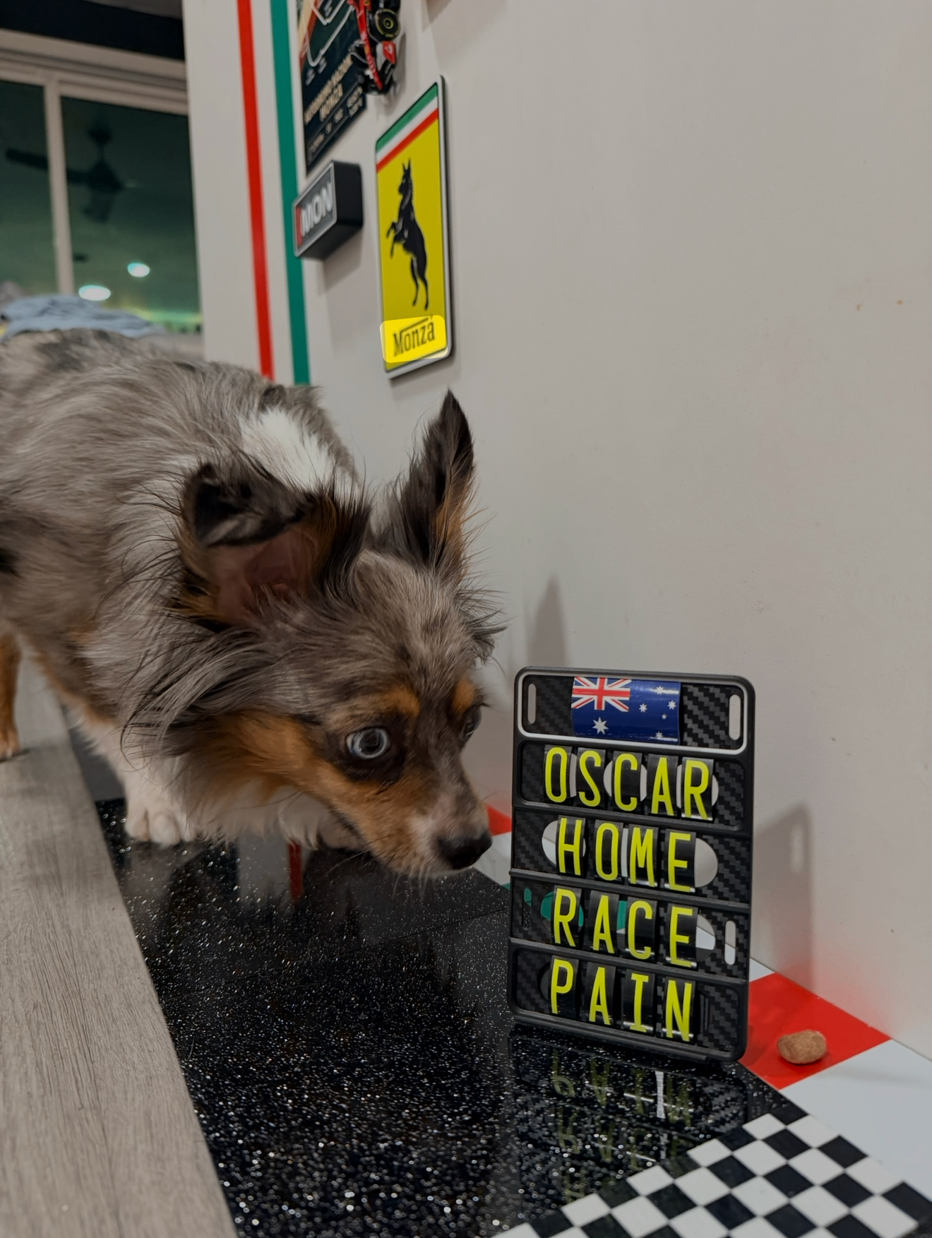 Monza eyeing the OSCAR HOME RACE PAIN pit board