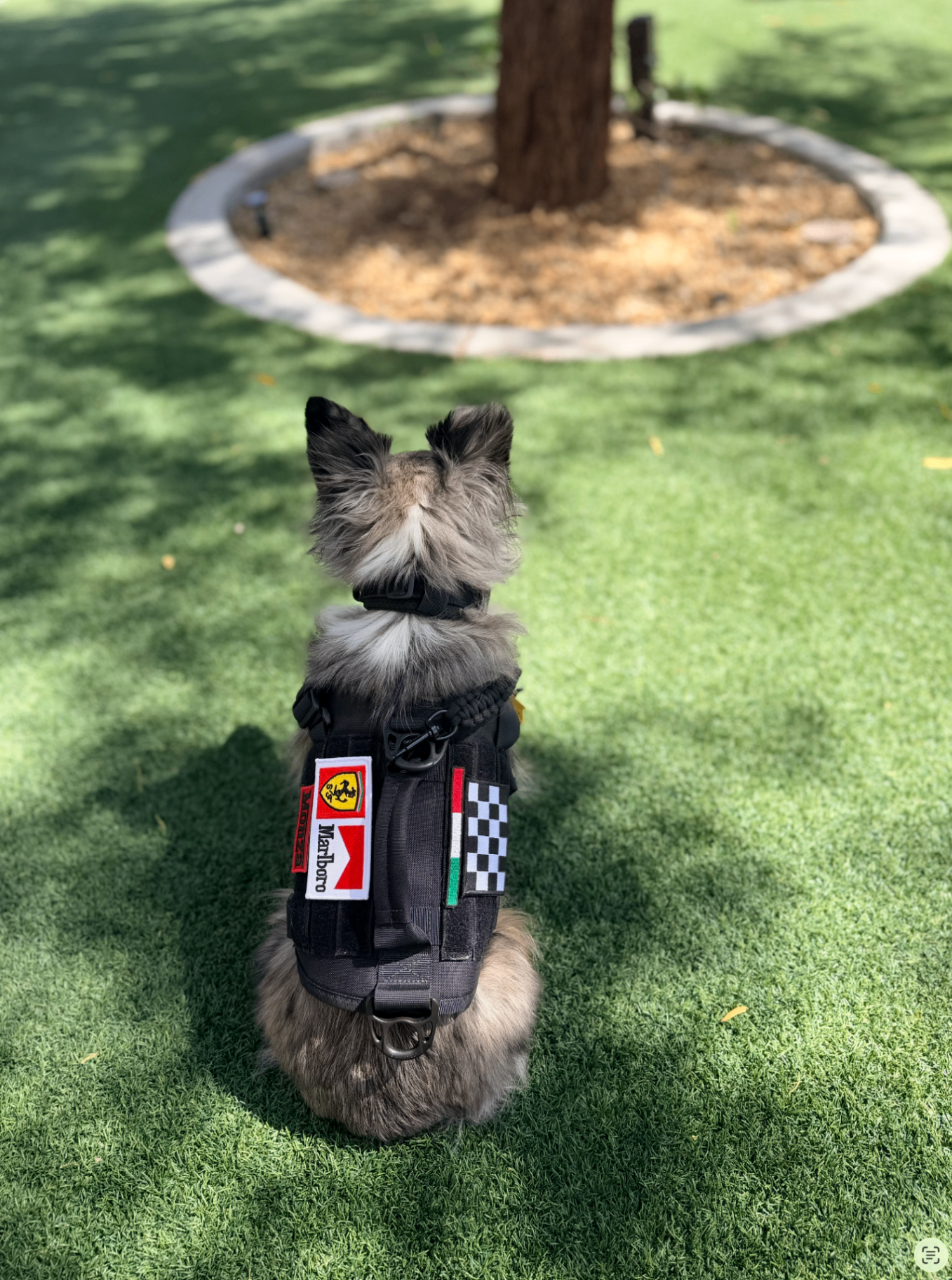 Monza from behind in full Ferrari Marlboro race harness
